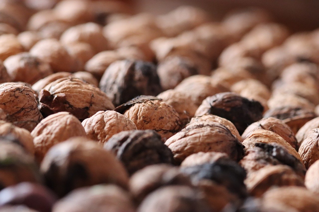 DDOS攻击平台|制氧机购买平台