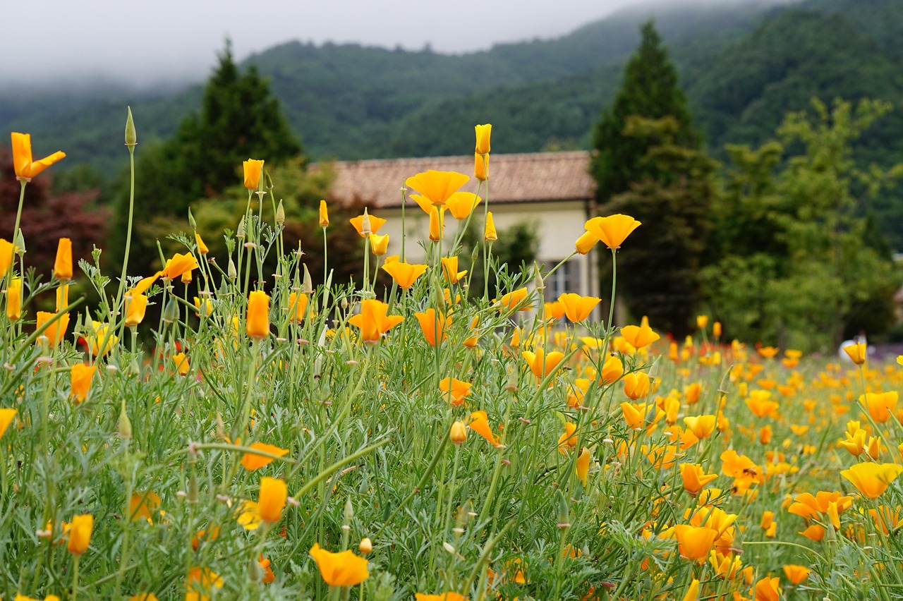 分发实名账号：郑州校园兼职代理平台
