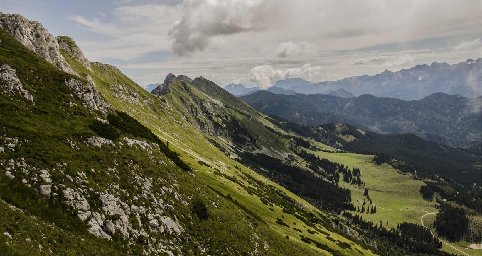 猫之宿约者：绿达园艺注册代理人沙县区