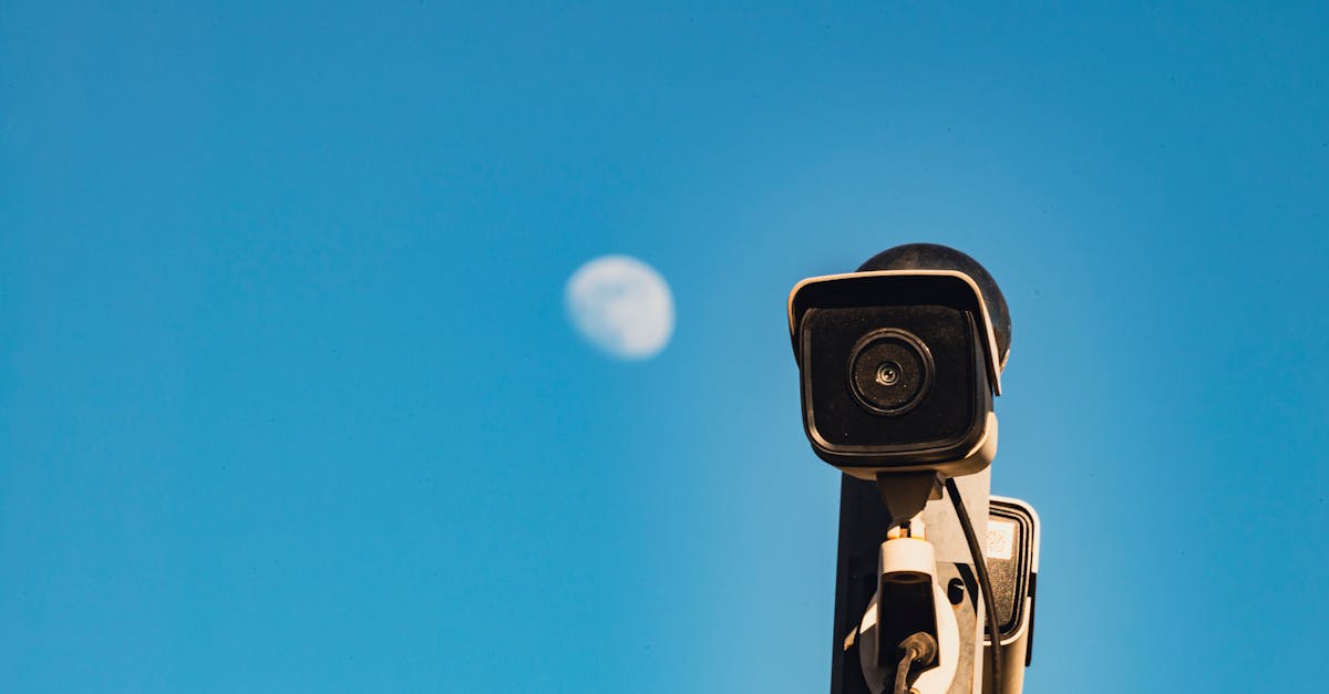 搜狐实名账号：桃花 APP怎么详情下载教程