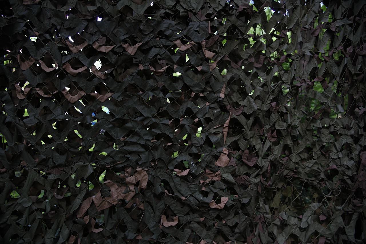 拳皇97OL:湖南注册代理记账多少钱