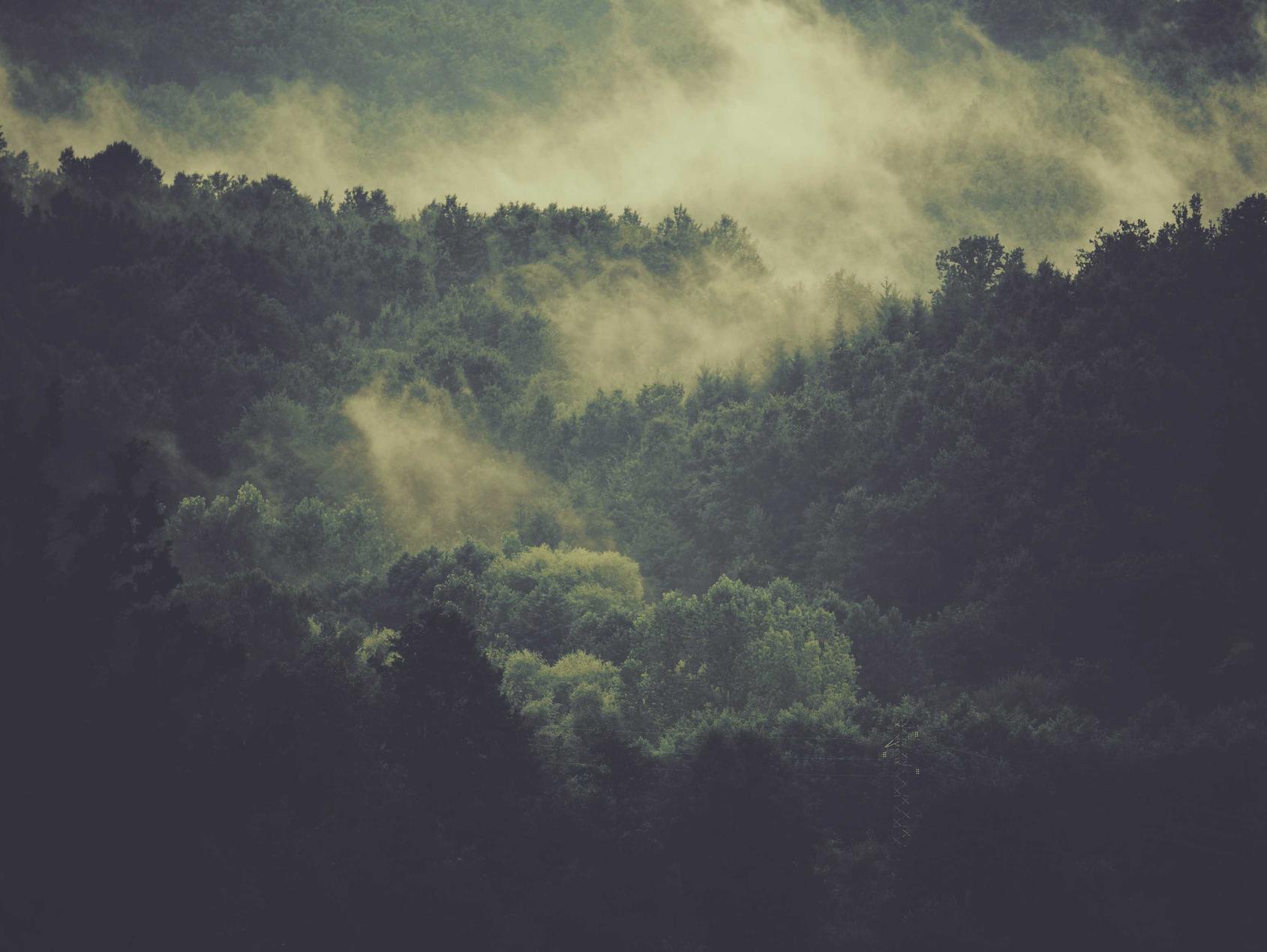 短信营销在移动时代的发展趋势