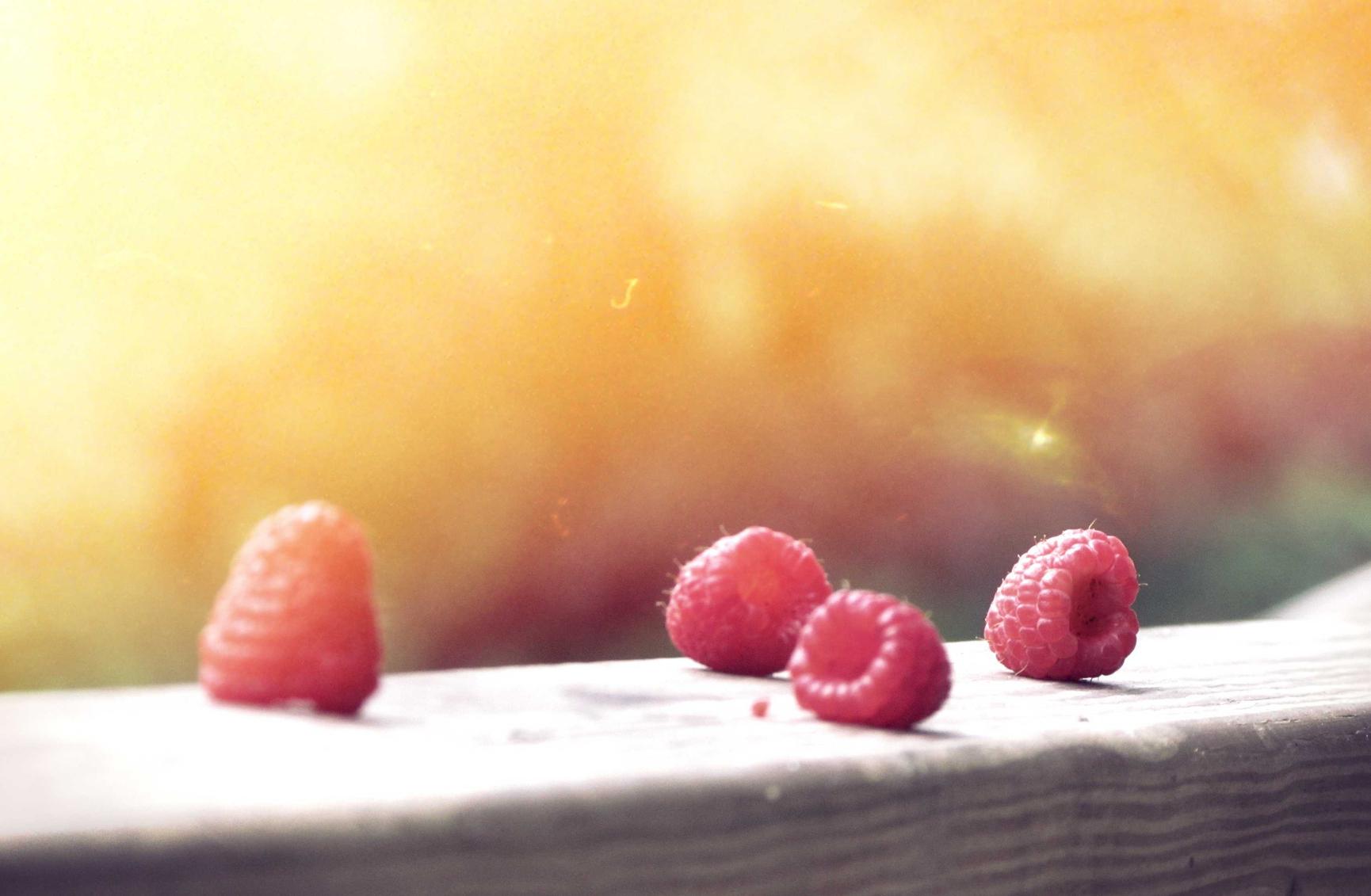 西部数码实名账号：初恋官方详情下载教程app