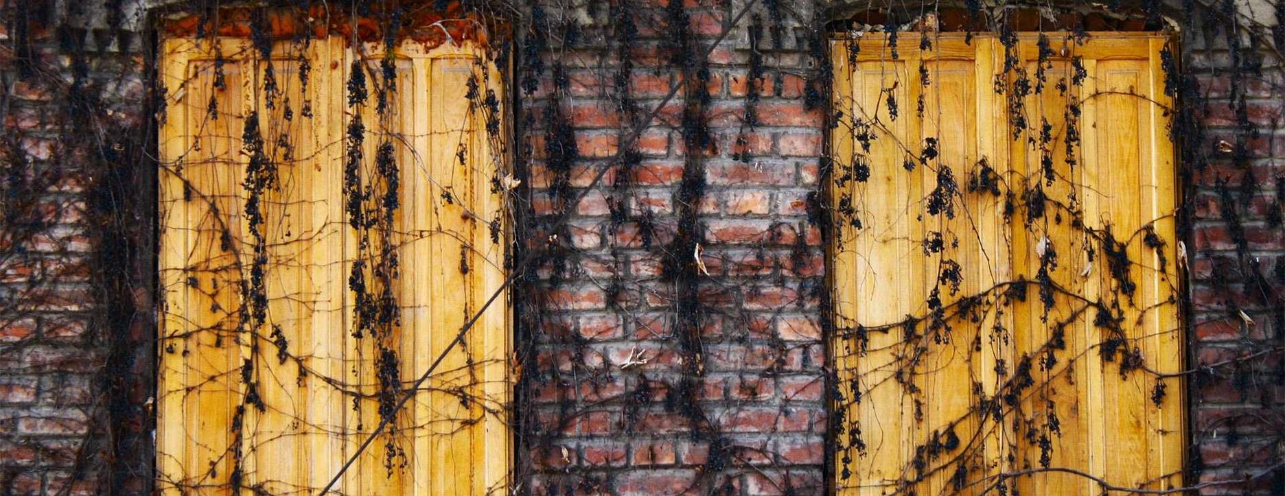 航海王热血航线：详情下载教程太阳花庄园app