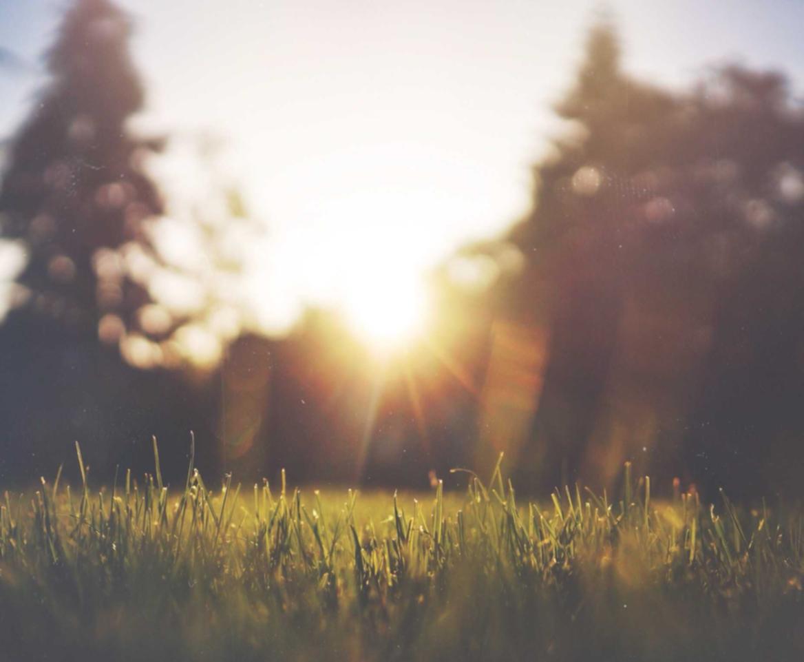 博猫游戏2创企注册公司代理服务